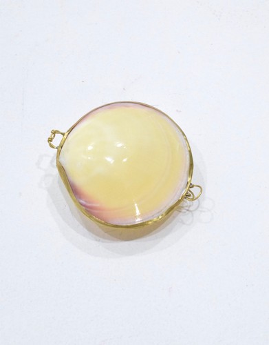 Purses shell assorted - shell,