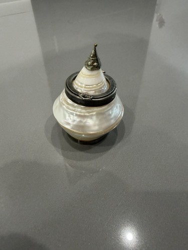 Turbo shell hinged lidded box - turbo,