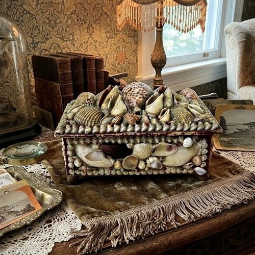 Antique victorian shell - antique,