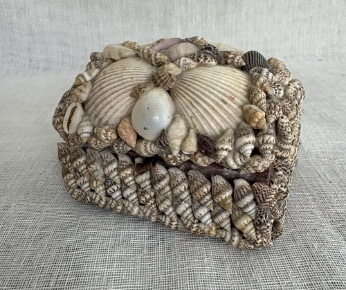 Vtg sea shell trinket box - vtg,