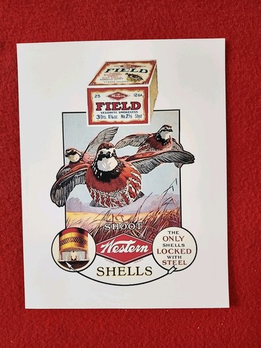 Western shotgun shell - western,